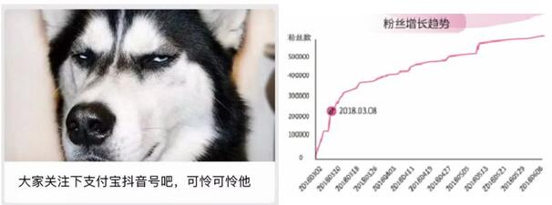 一條抖音為品牌帶來2.7億次曝光？企業(yè)抖音藍(lán)V最全攻略！