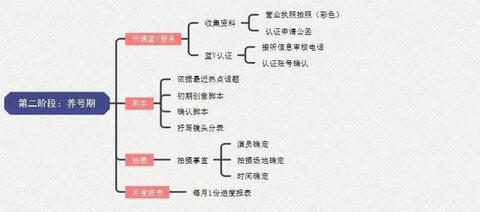 步玩轉(zhuǎn)抖音藍(lán)v號(hào)"