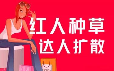 小紅書專業(yè)推廣運(yùn)營：關(guān)鍵詞優(yōu)化+素人、達(dá)人種草+明星推廣